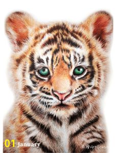 2025卉三角桌曆(146x186)CS6